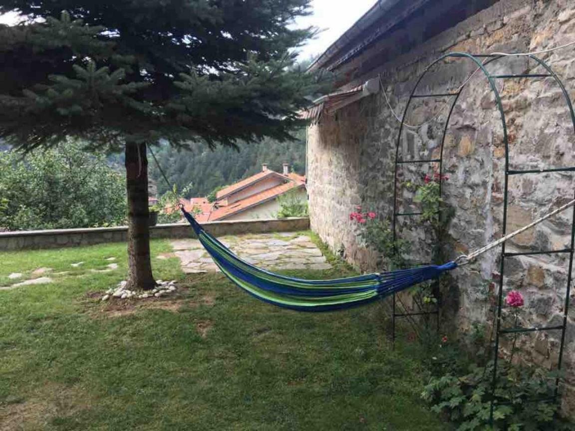 Ambrozia Spa And Relax Family House Bachkovo Eksteriør bilde